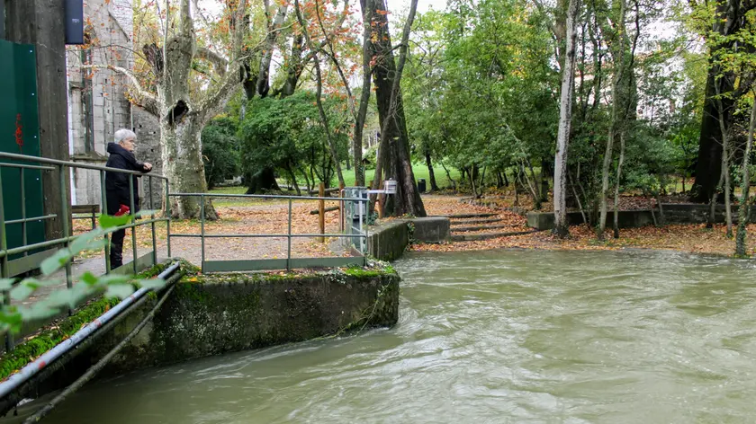 Il livello dell’acqua elevato in prossimità delle risorgive di San Giovanni di Duino