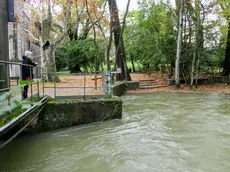 Il livello dell’acqua elevato in prossimità delle risorgive di San Giovanni di Duino