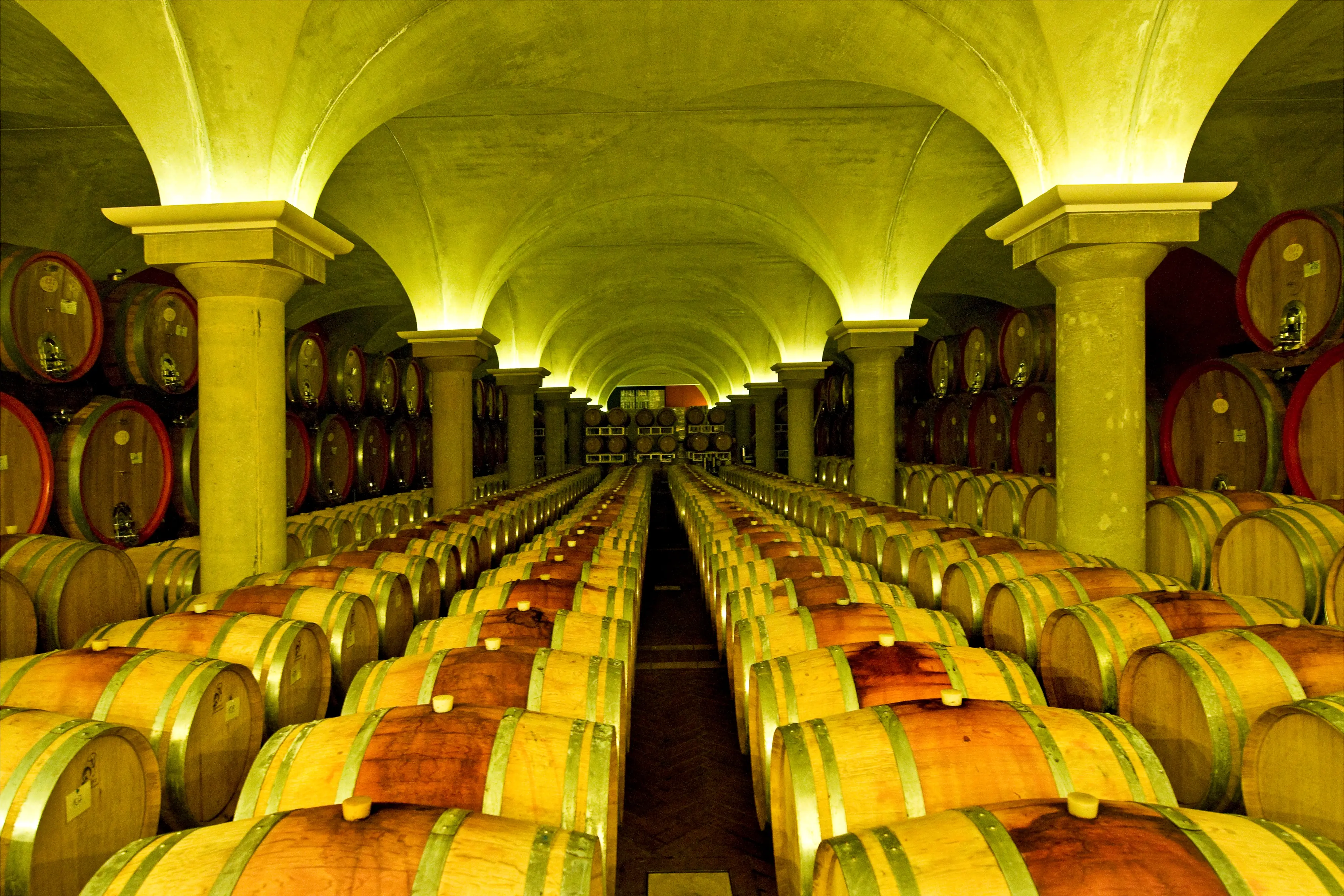Wineries Zini, Bardolino, Garda lake, Province of Verona, Italy
