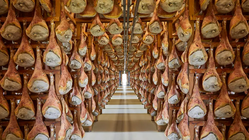 In un'immagine d'archivio la stagionatura del prosciutto di San Daniele