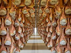 In un'immagine d'archivio la stagionatura del prosciutto di San Daniele
