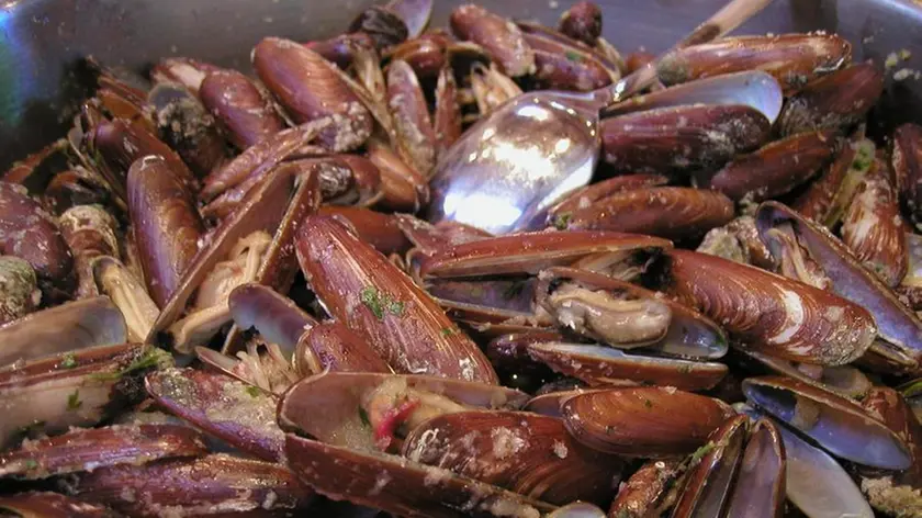 Un piatto di datteri di mare