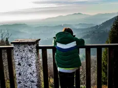 Boy looking out at mountain valley landscape from balcony, rear view, Piani Resinelli, Lombardy, Italy