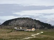 Altopiano di Asiago. Il bosco della Piana di Marcesina devastato dalla tempesta Vaia