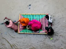 India, l'area di Muradpur sommersa dall'acqua a causa delle continue piogge