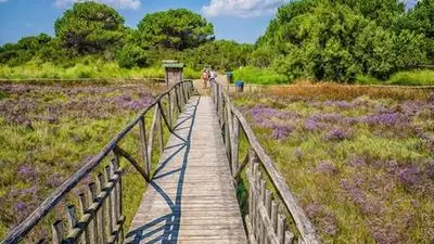 Il Giardino Botanico Litoraneo di Porto Caleri