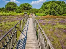 Il Giardino Botanico Litoraneo di Porto Caleri