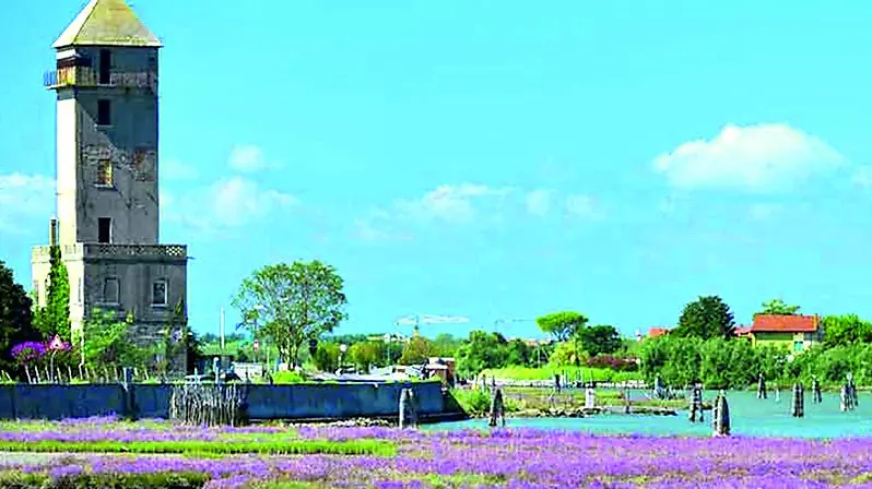 Storia e natura a Cavallino-Treporti (ph Parco Turistico Cavallino Treporti)