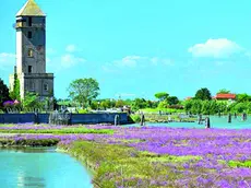 Storia e natura a Cavallino-Treporti (ph Parco Turistico Cavallino Treporti)