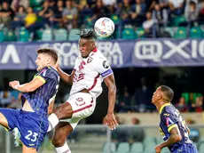 Torino's Duv‡n Zapata scores the goal 1- 2 during the Italian Serie A soccer match Hellas Verona vs Torino Fc at Marcantonio Bentegodi stadium in Verona, Italy, 20 September 2024. ANSA/EMANUELE PENNACCHIO