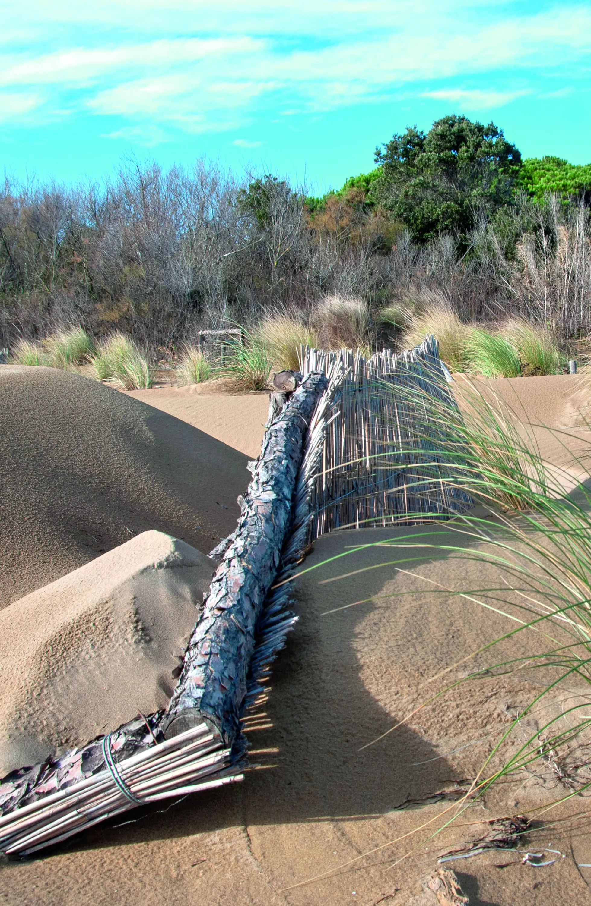 Romantica e selvaggia la natura intorno al faro di Bibione