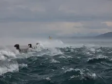 La Bora al Molo dei Bersaglieri a Trieste. Il vento si insinua tra i Monti Nanos e Nevoso in Slovenia e si abbatte sulla città. Foto Lasorte