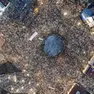 Impressionante colpo d’occhio della piazza Slavija, inquadrata dall’alto da un drone, che testimonia la vasta partecipazione alla protesta di domenica a Belgrado. Foto Arhiv Javnih Skupova