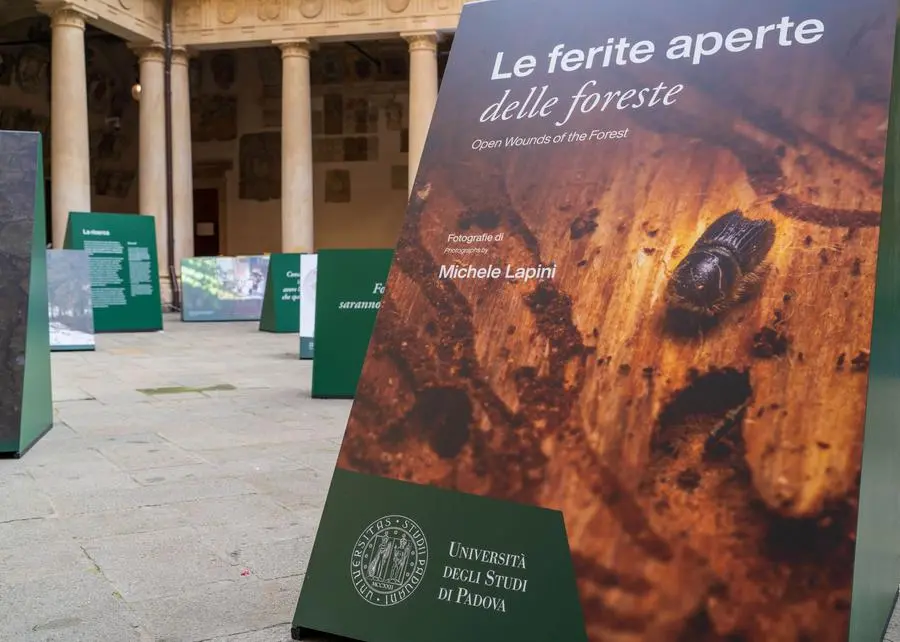 La mostra a Palazzo Bo ha chiuso, ma resta il lavoro di documentazione