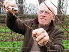 Padova: L’azienza di vini biologici “Nevio Scala”