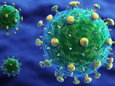 Il virus Hiv