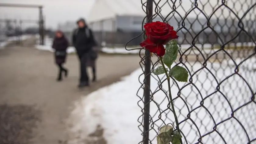 Auschwitz, l'ex campo di sterminio nazista di Birkenau