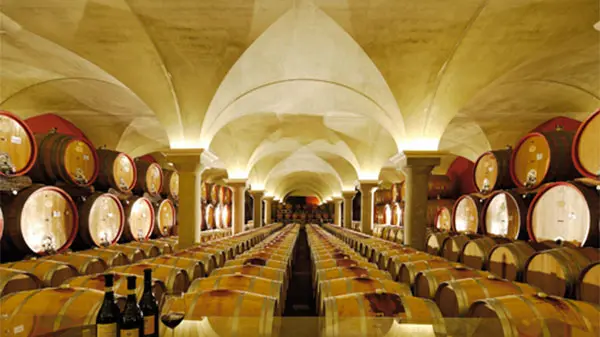 Bardolino. Museo del vino.