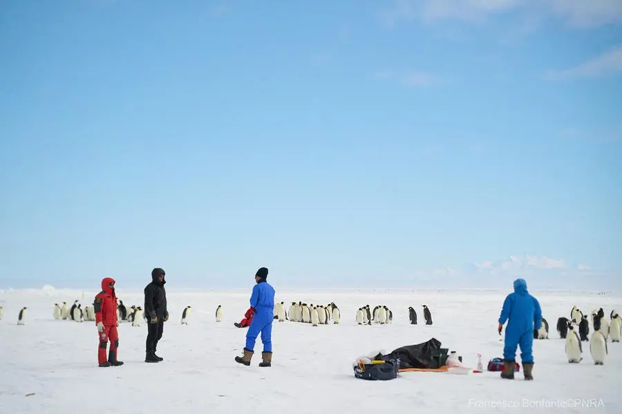 Le immagini della spedizione in Antartide (Foto di Francesco Bonfante/IZSVe/PNRA)