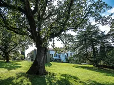 L a narrazione della Grande Guerra avviene anche nel nome della bellezza: giardini verdi e cannoniere scavate nella roccia