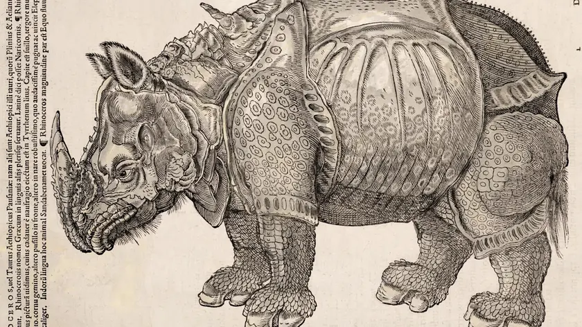 Il celebre rinoceronte di Dürer. La simbologia attorno ad animali leggendari confluìsce nella cultura editoriale