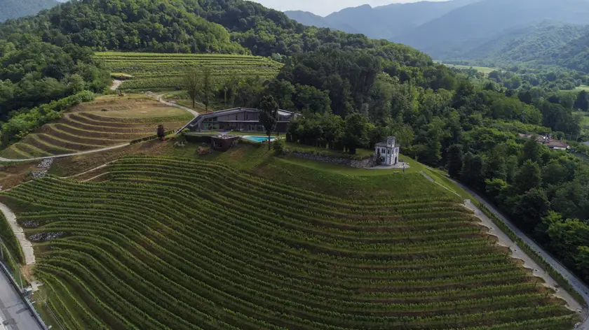 Geometrie e morbide curve nei vigneti terrazzati di Nimis