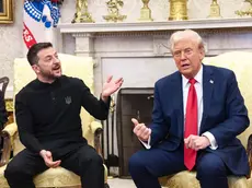 Volodymyr Zelensky è finito nella trappola di Donald Trump