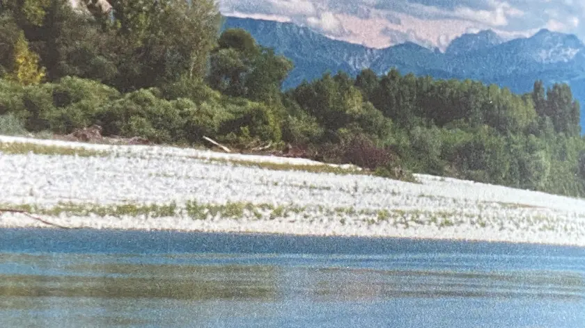 Corsi d’acqua e risorgive sono di casa