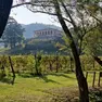 Villa dei Vescovi è autenticamente immersa nel verde, come dimostra questo scorcio (g.c. Fai)