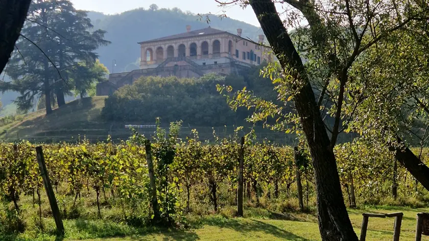 Villa dei Vescovi è autenticamente immersa nel verde, come dimostra questo scorcio (g.c. Fai)