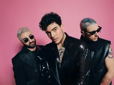 The Kolors