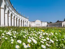 Villa Manin a Passariano di Codroipo