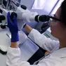 Una analisi al microscopio (foto di reperetorio Ansa)