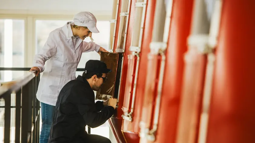 Un momento di controllo in reparto silos caffè tostato macinato