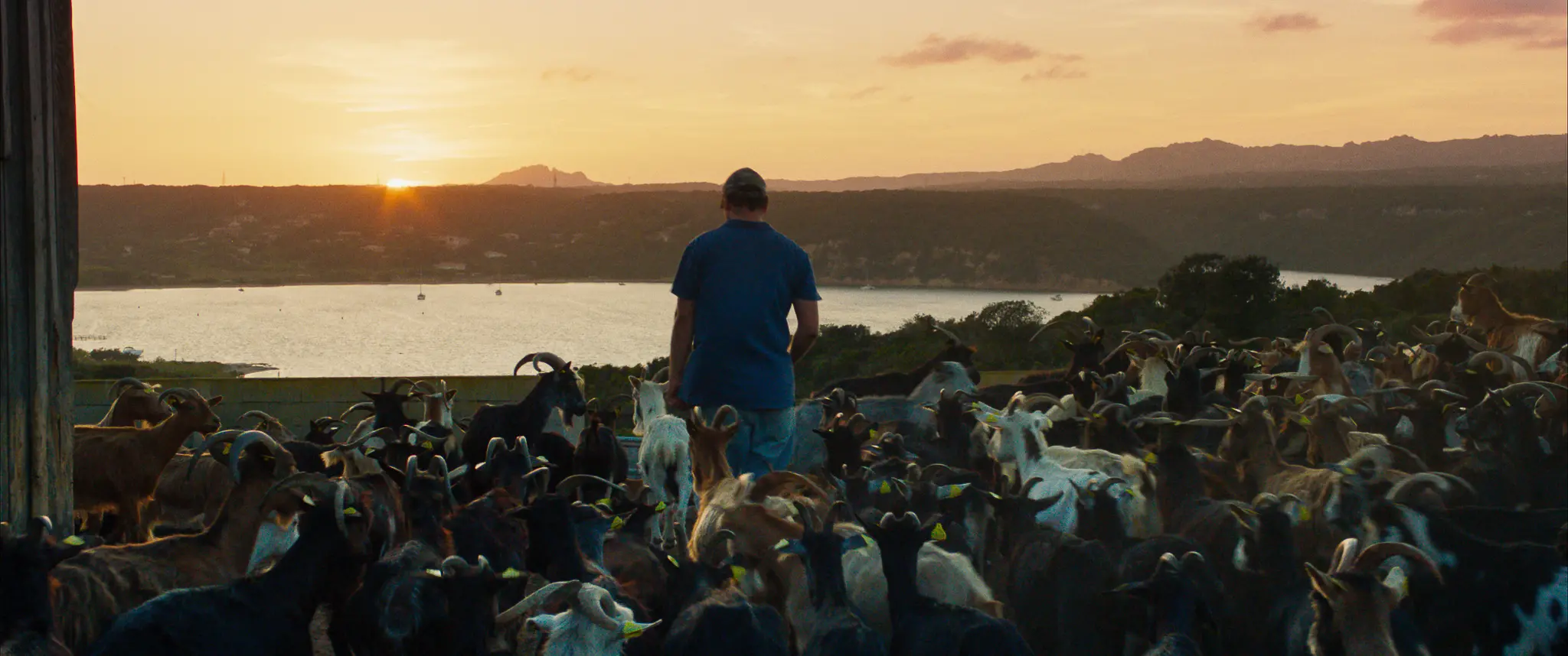 Il film "Il Mohicano"