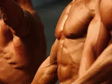 Un pool internazionale di esperti ha analizzato la mortalità dei bodybuilder professionisti