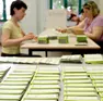 Un precedente seggio elettorale per i referendum (Bonaventura)