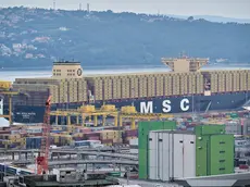 Una veduta del porto di Trieste (Silvano)