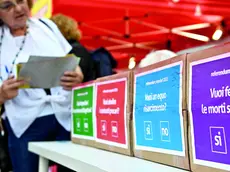 Fac simile delle urne elettorali allestite durante un’iniziativa sui quesiti referendari dell’8 e 9 giugno