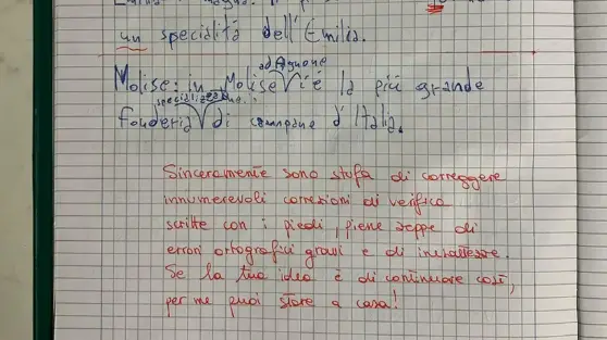 Il compito dell'alunno di dieci anni e il giudizio della maestra finito nella bufera