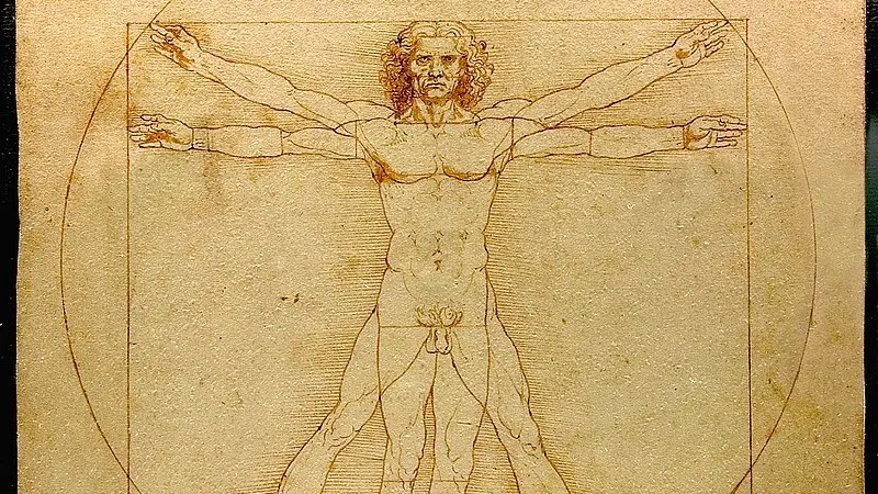L'Uomo vitruviano custodito alle Gallerie dell'Accademia a Venezia