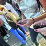 Giovani con il cellulare, si è acceso il dibattito sull’ipotesi di vietarlo