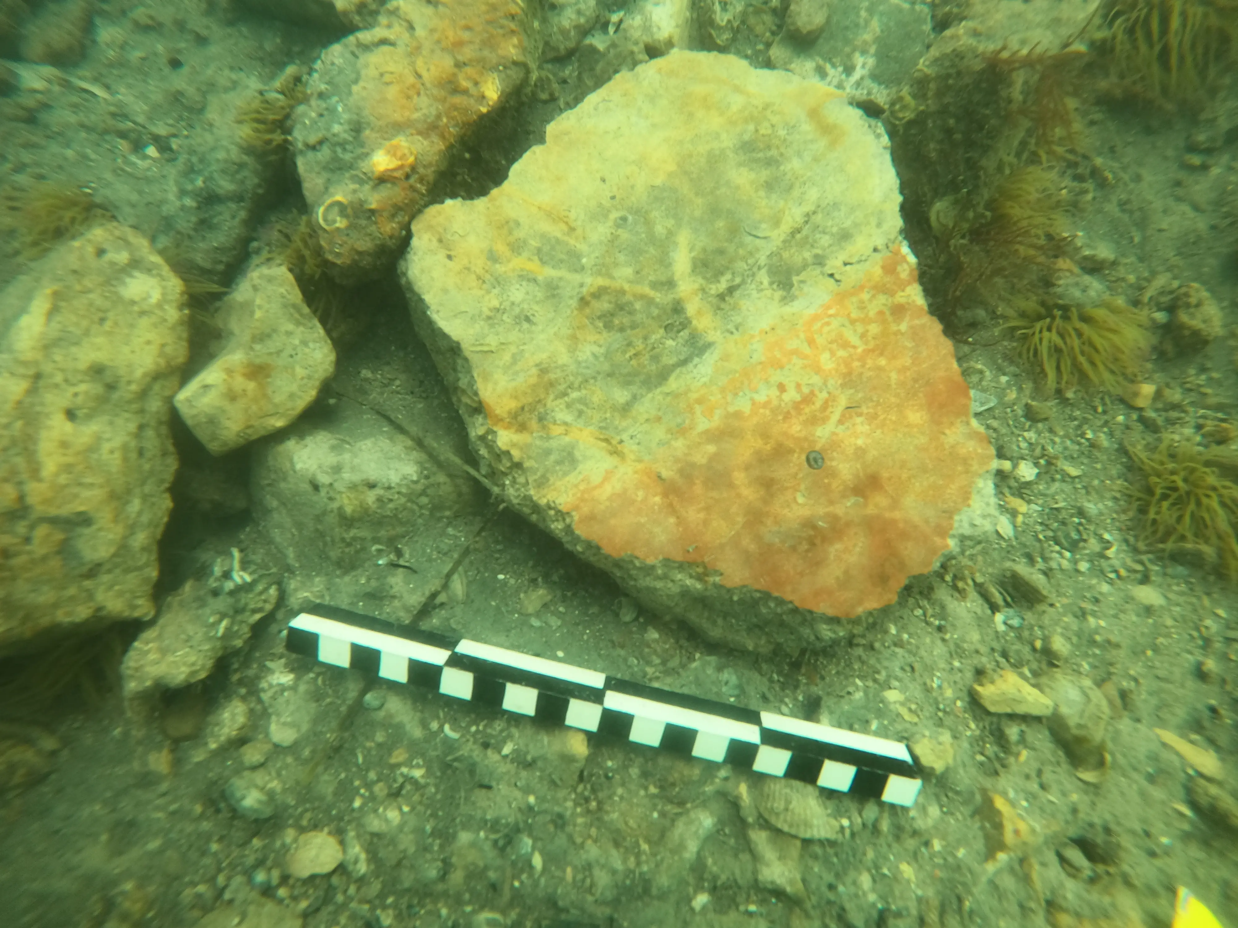 Le ricerche degli archeologi a Lio Piccolo