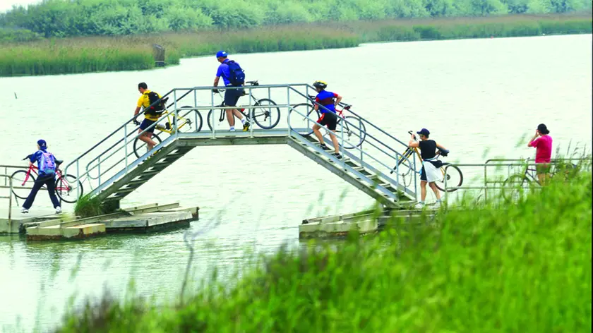 La bicicletta, il mezzo più ecologico per sperimentare il turismo fluviale