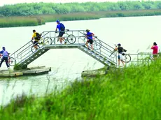 La bicicletta, il mezzo più ecologico per sperimentare il turismo fluviale