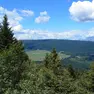 ALTOPIANO DEL CANSIGLIO
