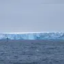 Il più grande iceberg del mondo si trova al confine dell’Atlantico. Denominato con il codice A23a, va alla deriva dall'agosto 2022