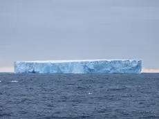 Il più grande iceberg del mondo si trova al confine dell’Atlantico. Denominato con il codice A23a, va alla deriva dall'agosto 2022