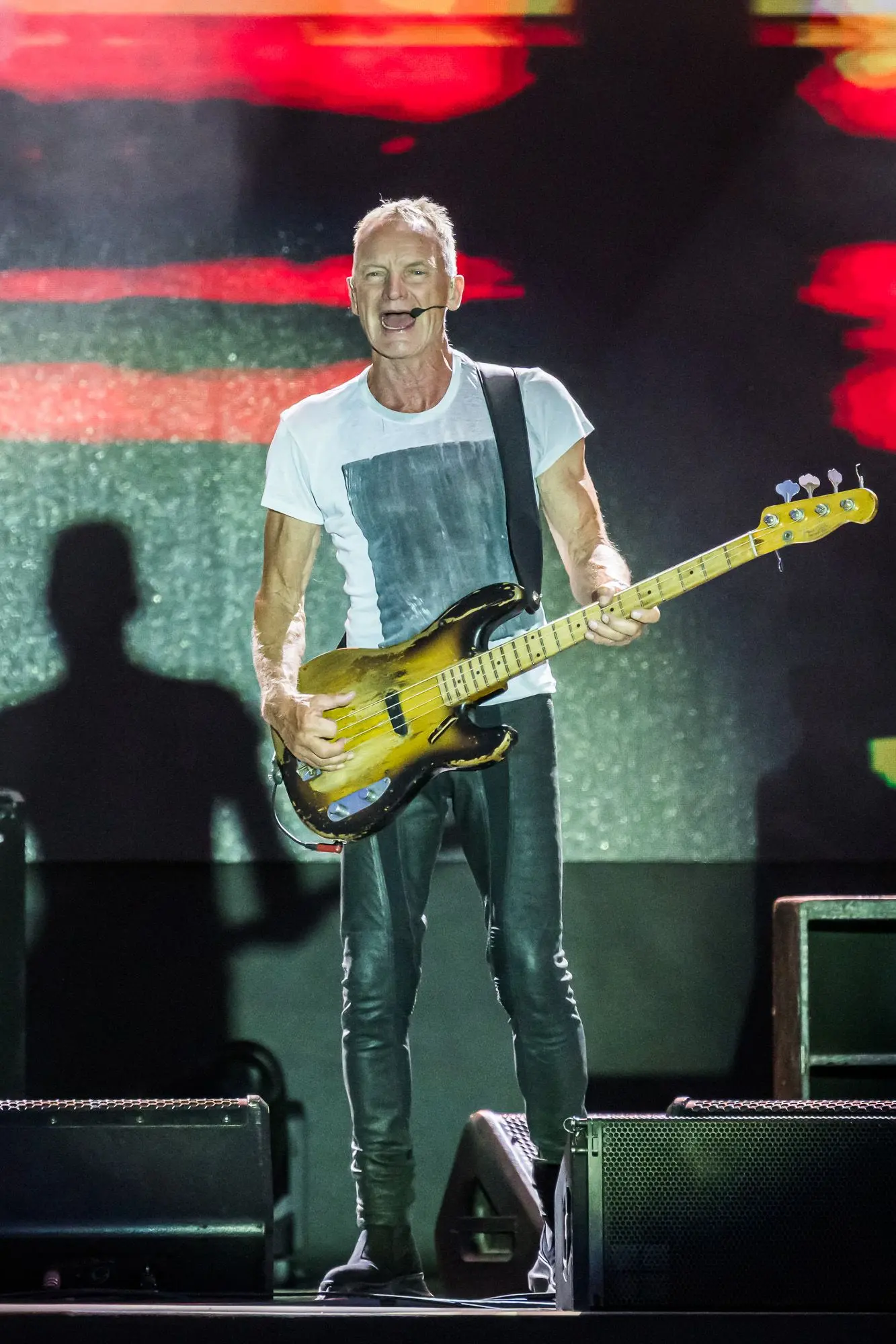 Sting a Villa Manin (Foto Simone Di Luca)