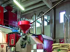 La fabbrica della Torrefazione Goriziana